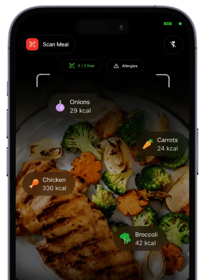 NutriNudge scanning a meal and detecting each food with its calories